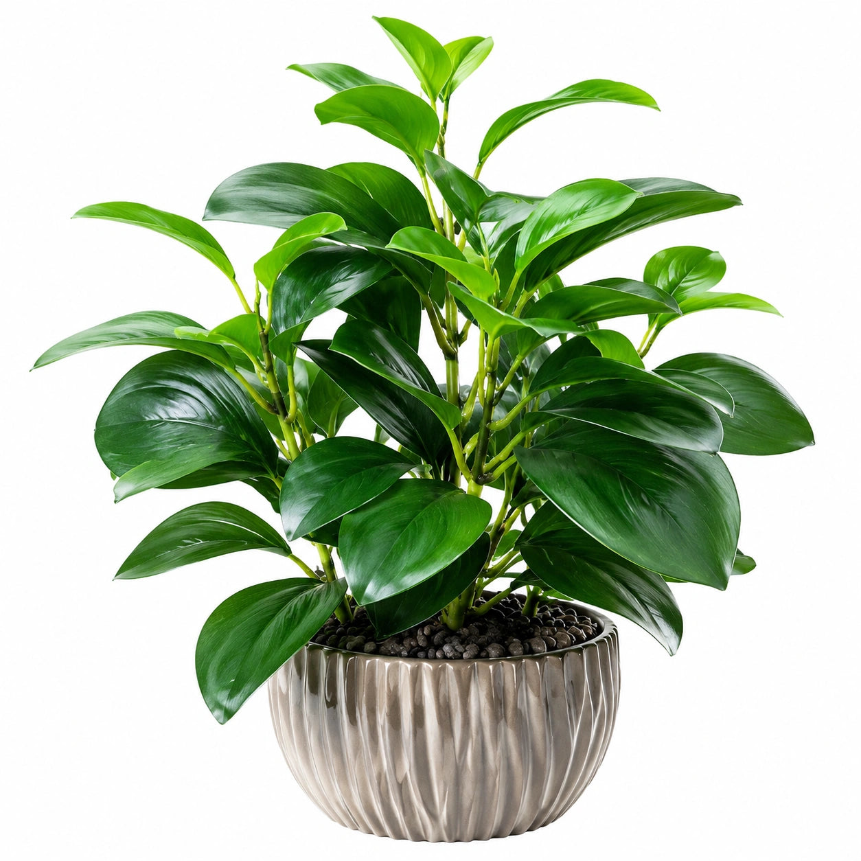 Plante Artificielle Décorative avec Pot en Céramique - 70 cm