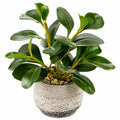 Plante Artificielle Verte avec Pot Décoratif en Céramique
