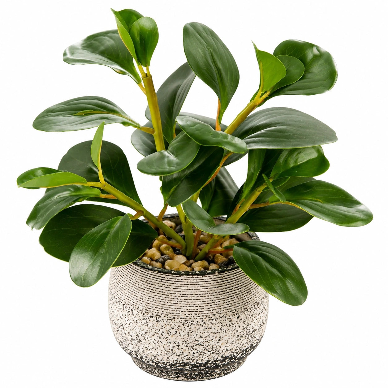 Plante Artificielle Verte avec Pot Décoratif en Céramique